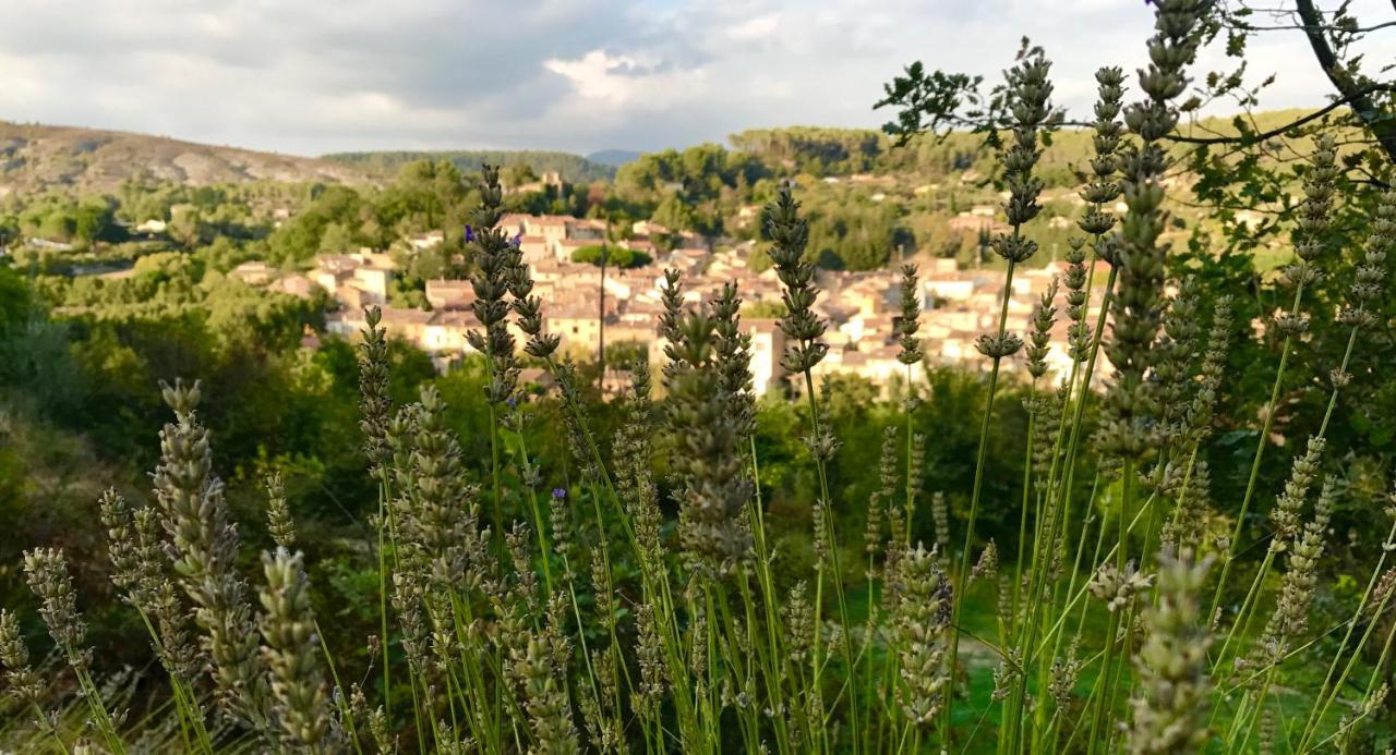 Loft Provencal Apartment Salernes Bagian luar foto
